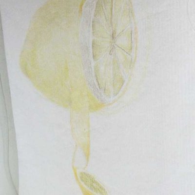 fi-rust-annechien fi-rust-annechien