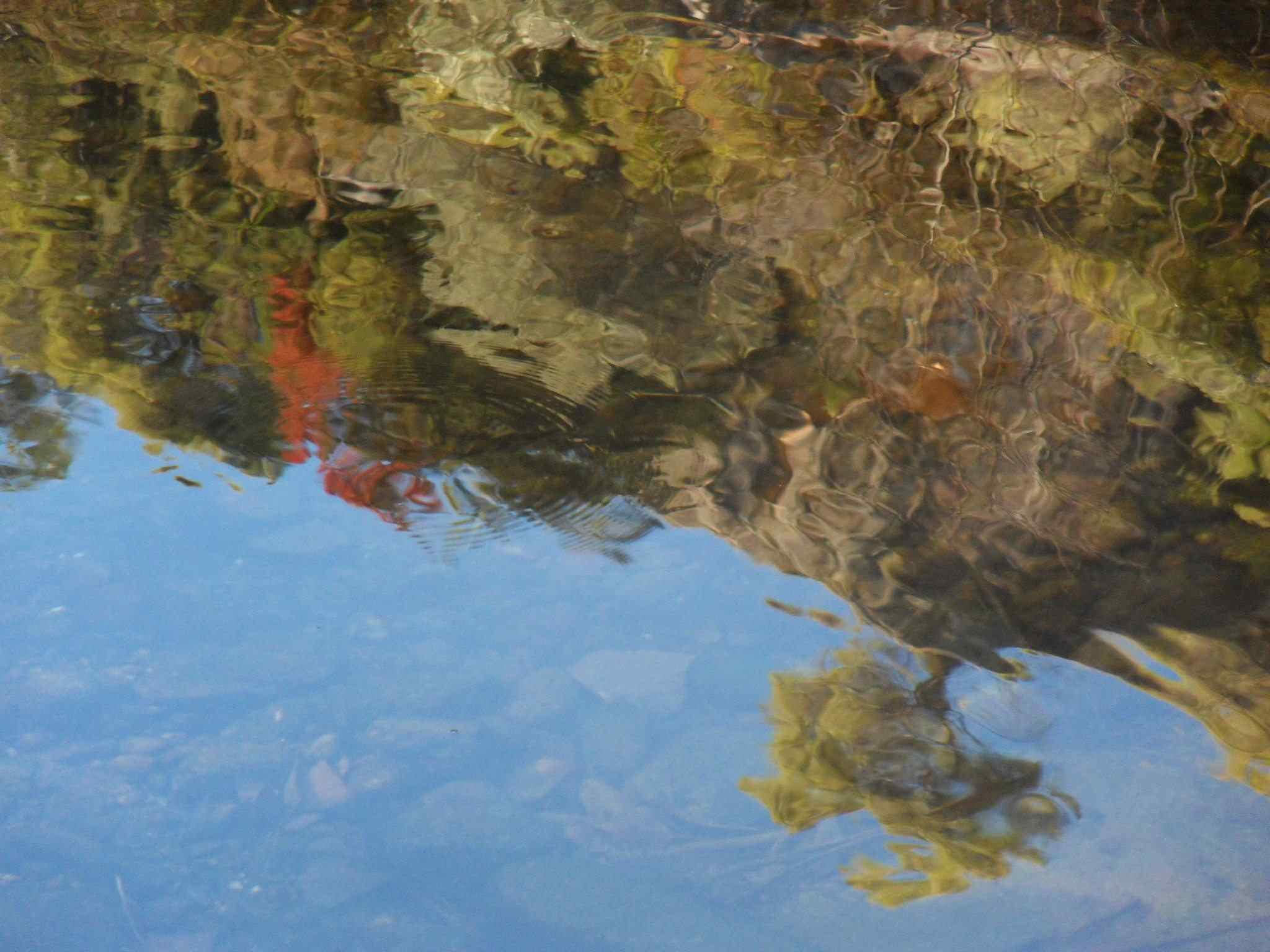 Ester Eva Damen Ester Eva Damen