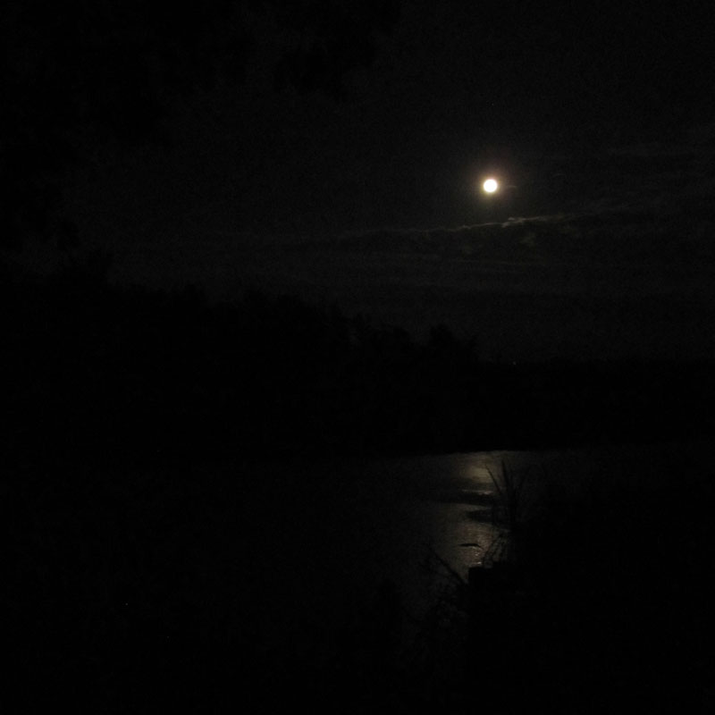 hermine-maan hermine-maan